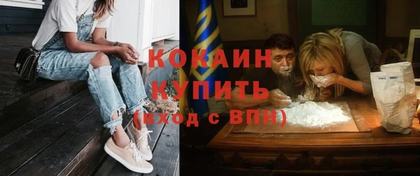 гидра Пересвет