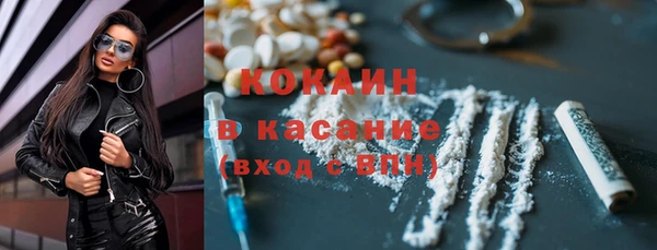 гидра Пересвет