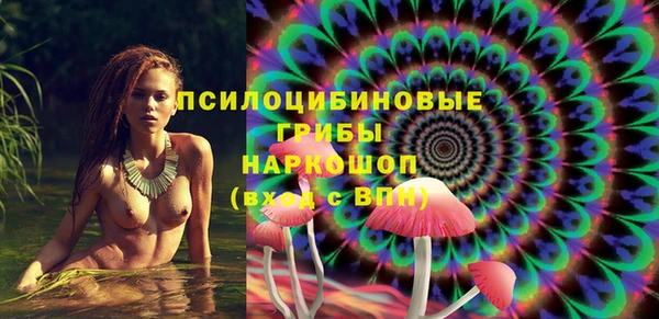 МДПВ Пестово