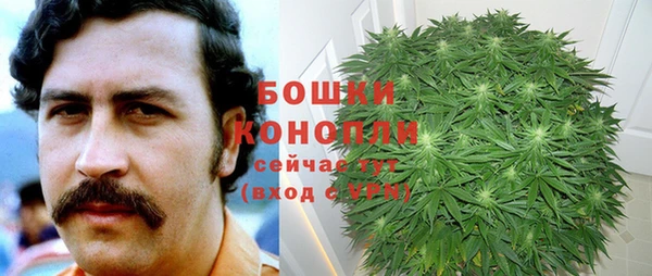МДПВ Пестово
