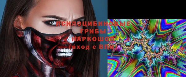 гидра Пересвет