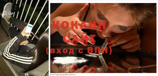 МДПВ Пестово