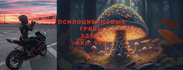 МДПВ Пестово