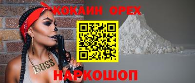 индика Кингисепп