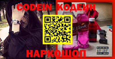 индика Кингисепп