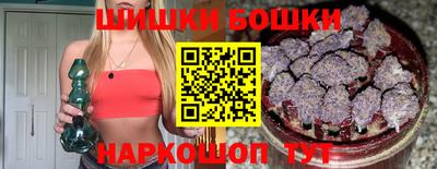индика Кингисепп