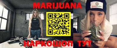 индика Кингисепп