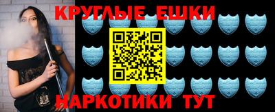 индика Кингисепп