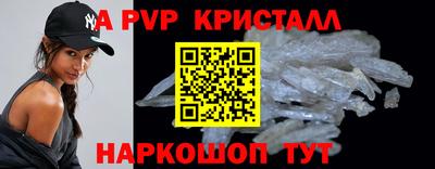 индика Кингисепп