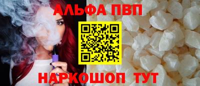 индика Кингисепп