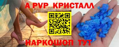 индика Кингисепп