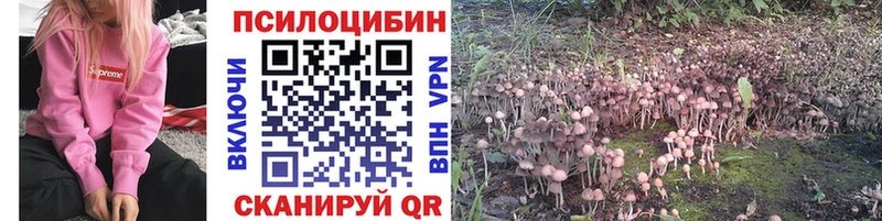 Галлюциногенные грибы мухоморы где можно купить это состав Копейск